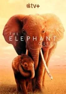 The Elephant Queen (2019)